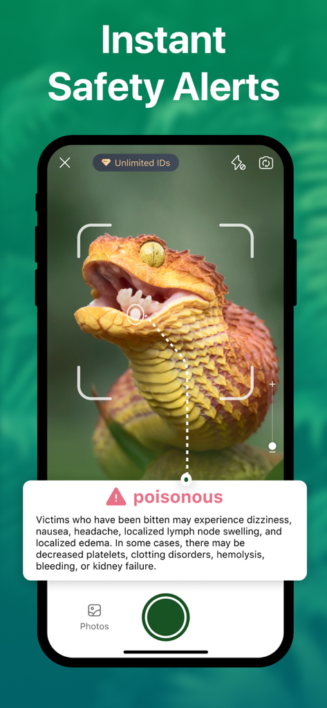 Picture Nature: Animal ID - Mobile app screen showing a poisonous snake identification with instant safety alerts