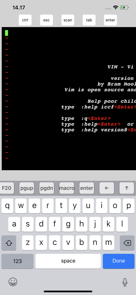 Mocha Telnet app showing a terminal screen with Vim editor and a technical keyboard on an iPhone.