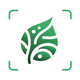 Ai Plant Identifier Tree Weed