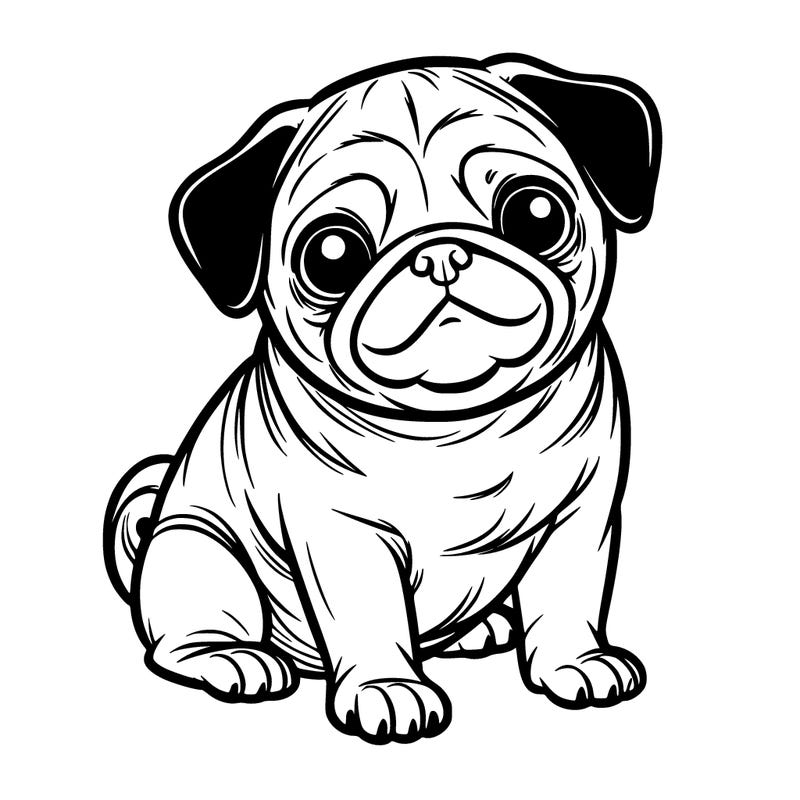 pug