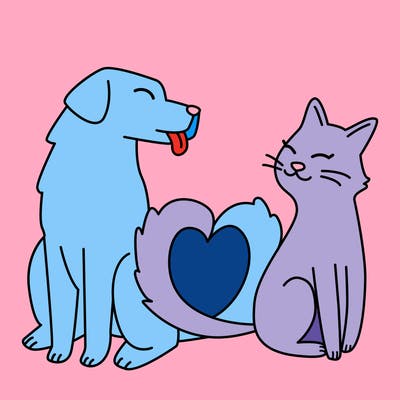 animals_22