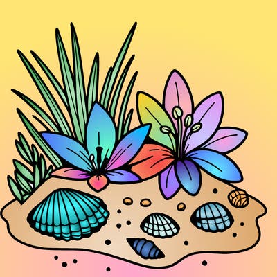 sand, lily, shells