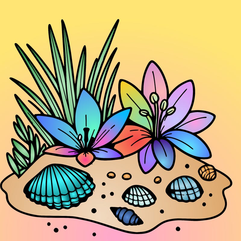 sand, lily, shells