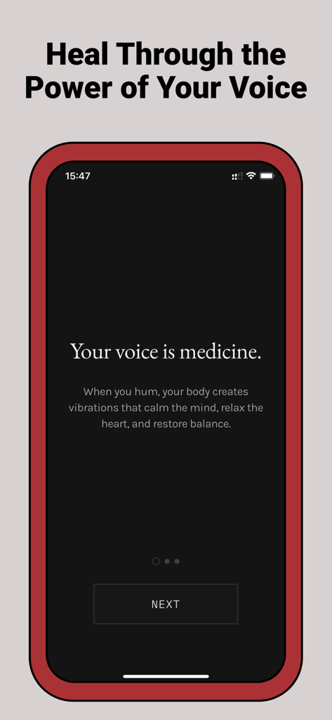 Harmonic Echo app onboarding screen featuring the text your voice is medicine