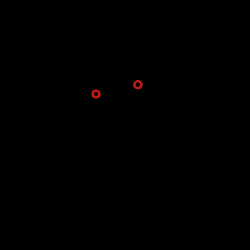 creepy female jester