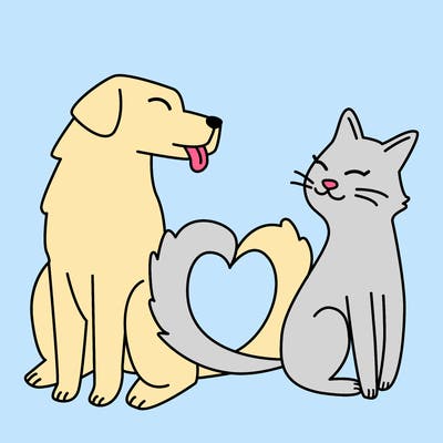 animals_22