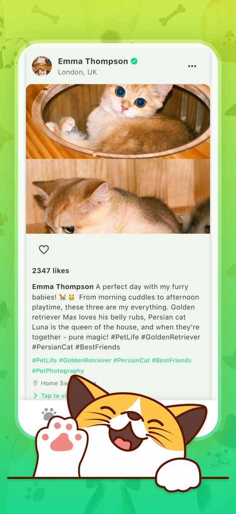 Jexhor - Jexhorアプリのソーシャルメディアフィード。かわいい子猫の写真に「いいね！」と漫画の猫のイラストが表示されています