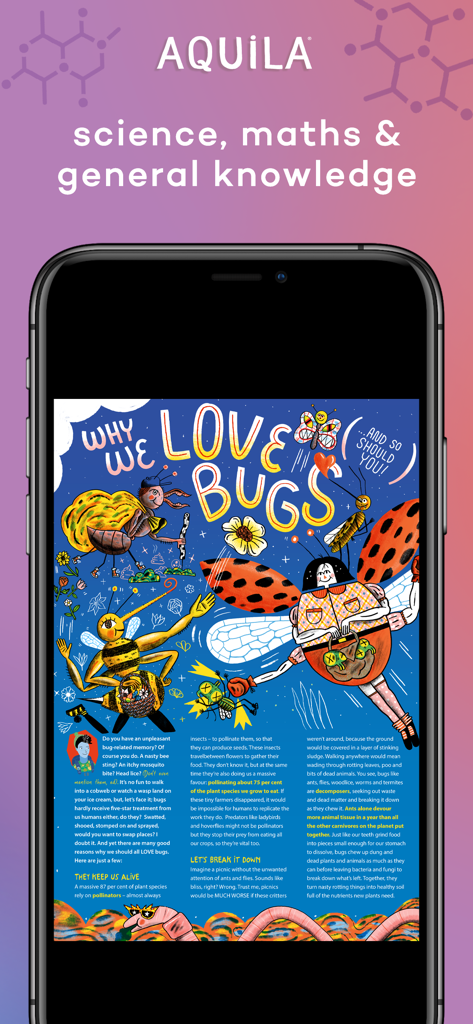 Aquila Childrens Magazine science article about why we love bugs