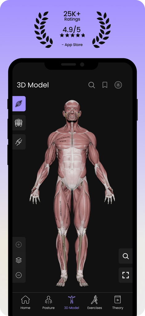 Mobile screen showing a 3D human muscle model and app store ratings for Posture by Muscle and Motion