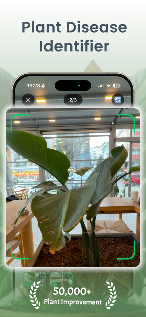 Plant Disease Identifier Bio - Interfaz de la aplicación móvil Plantora mostrando una cámara de IA escaneando una planta de interior grande para identificar enfermedades