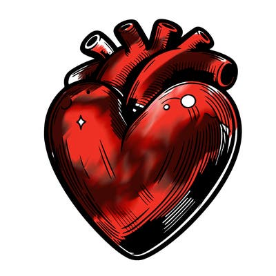 realistic heart