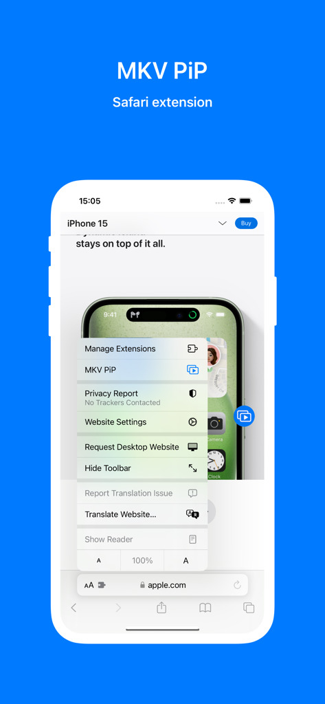 MKV PiP Player Safari extension menu on iPhone