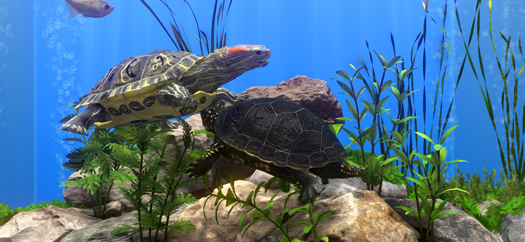 Fish Farm 4: 3D Aquarium - Two realistic 3D turtles swimming in a detailed underwater aquarium habitat with rocks and plants.