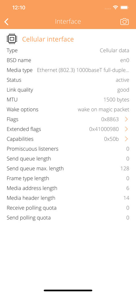 Cellular Infoアプリのリンク品質とMTUを含む技術的なセルラーインターフェースパラメータの詳細ビュー。