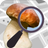 Mushroom Identify - Automatic 