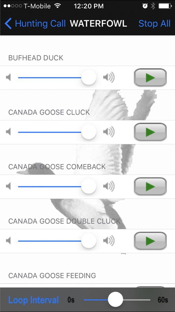 Hunting Call - Screenshot of the waterfowl category in the Hunting Call app showing volume sliders and play buttons for various duck and goose calls
