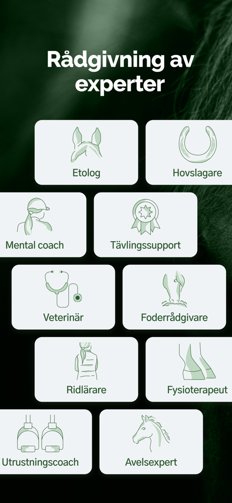 HayHay: För häst & ridning - Interface of the HayHay app displaying categories of horse experts including veterinarians farriers and riding instructors