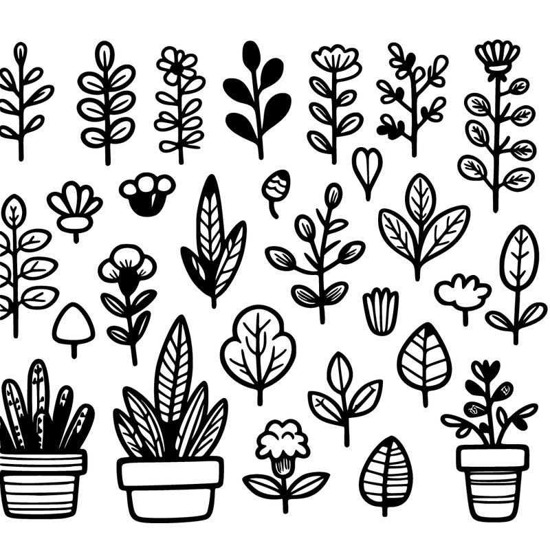 plants