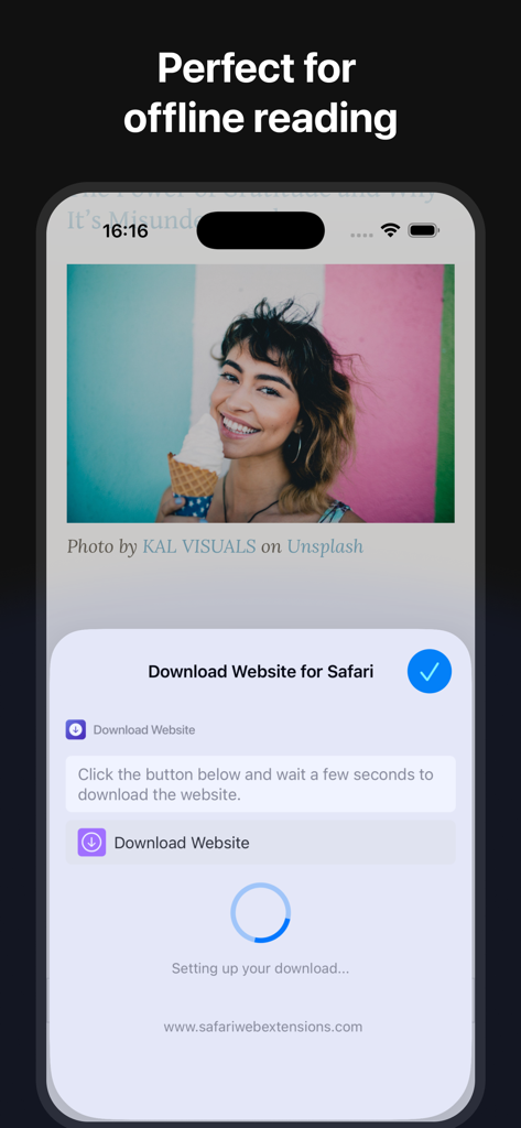 Save Website for Safari - iPhone screenshot showing the Save Website for Safari app interface for downloading a webpage for offline use
