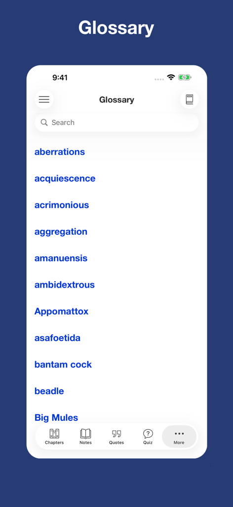 To Kill a Mockingbird - notes - Glossary screen showing a list of vocabulary terms from the novel