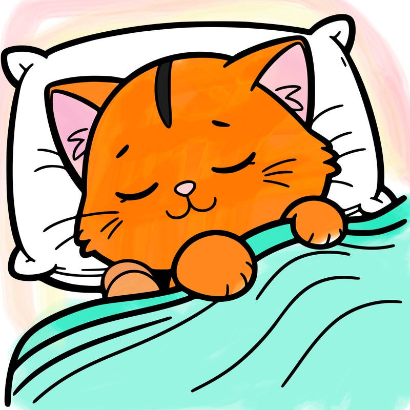 sleepy%20cat