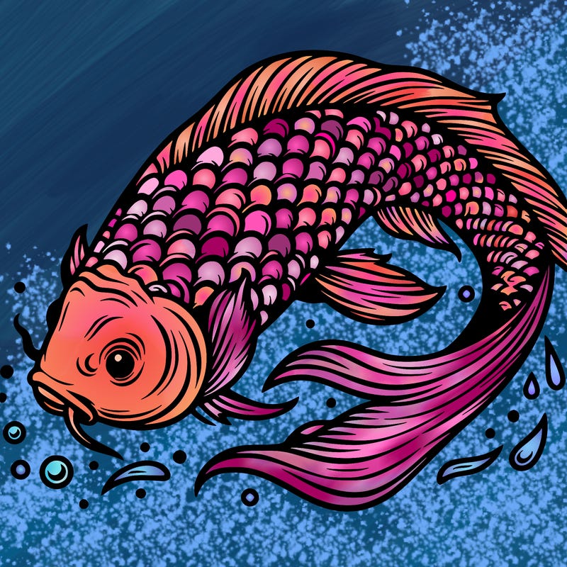 beautiful koi fish
