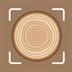 Wood identifier - Wood ID