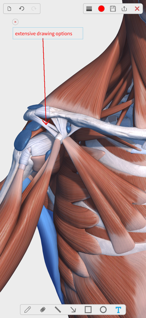 Detailed 3D human shoulder model with digital drawing and note-taking tools for anatomy study