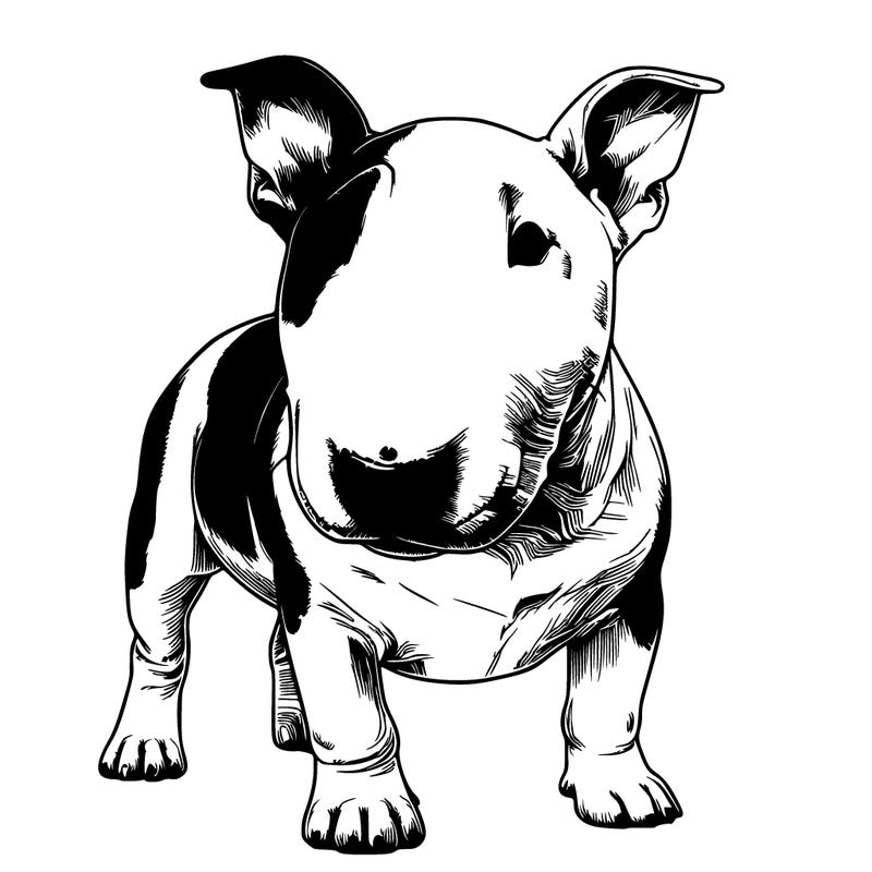 realistic bull terrier