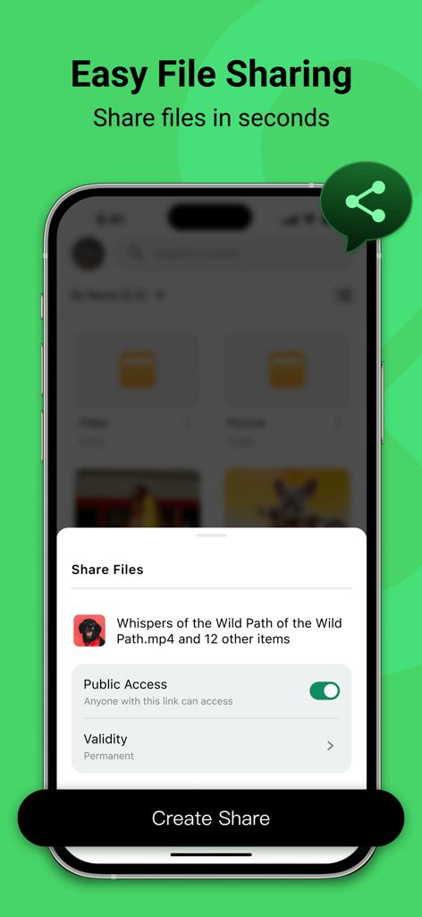 Linkex - Secure Cloud Storage - Linkex mobile app interface showing file sharing settings with public access and validity options