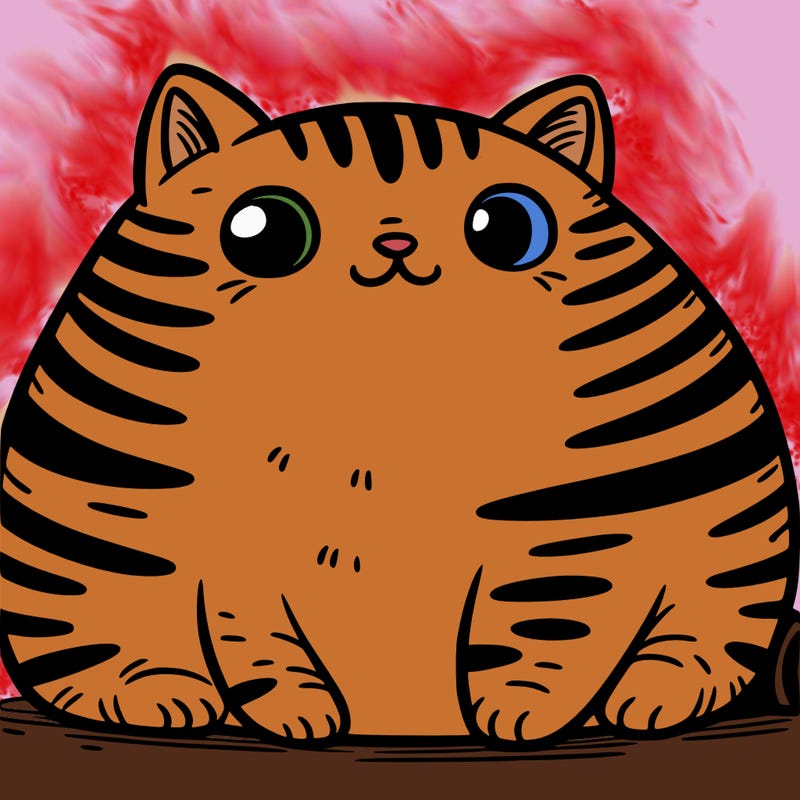 fat and fluffy cat with stripes