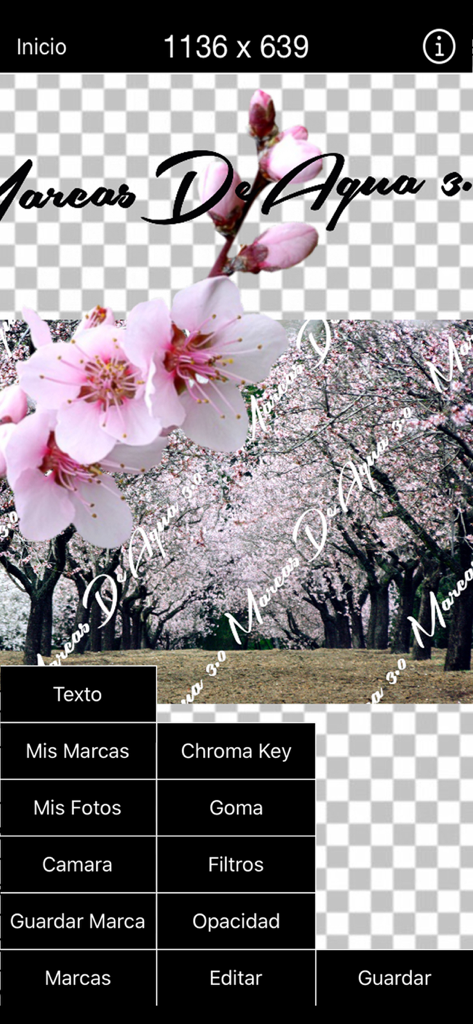 Una captura de pantalla que muestra la interfaz de edición de la aplicación Marcas de Agua con una foto con marca de agua y botones de menú