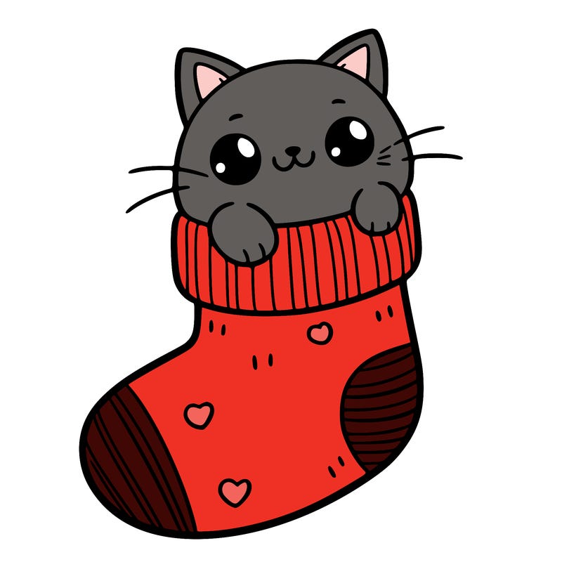 cute cat in a sock