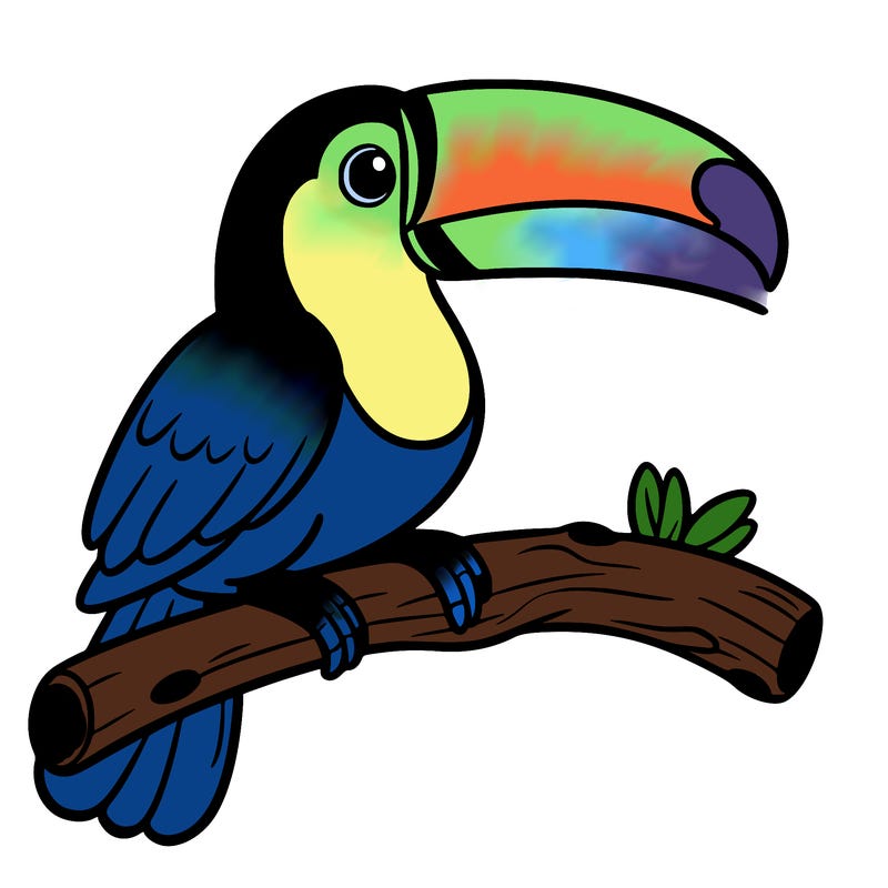 a toucan on a branch