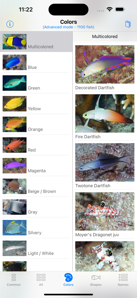 Philippines Fish ID - Fish identification by color categories in the Philippines Fish ID app