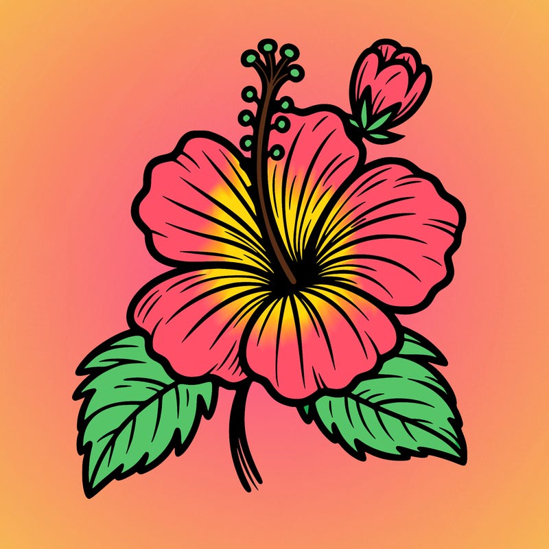 hibiscus flower