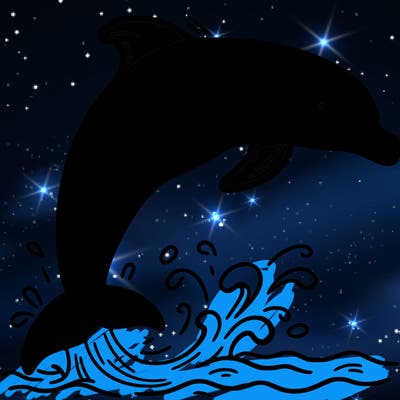 dolphin