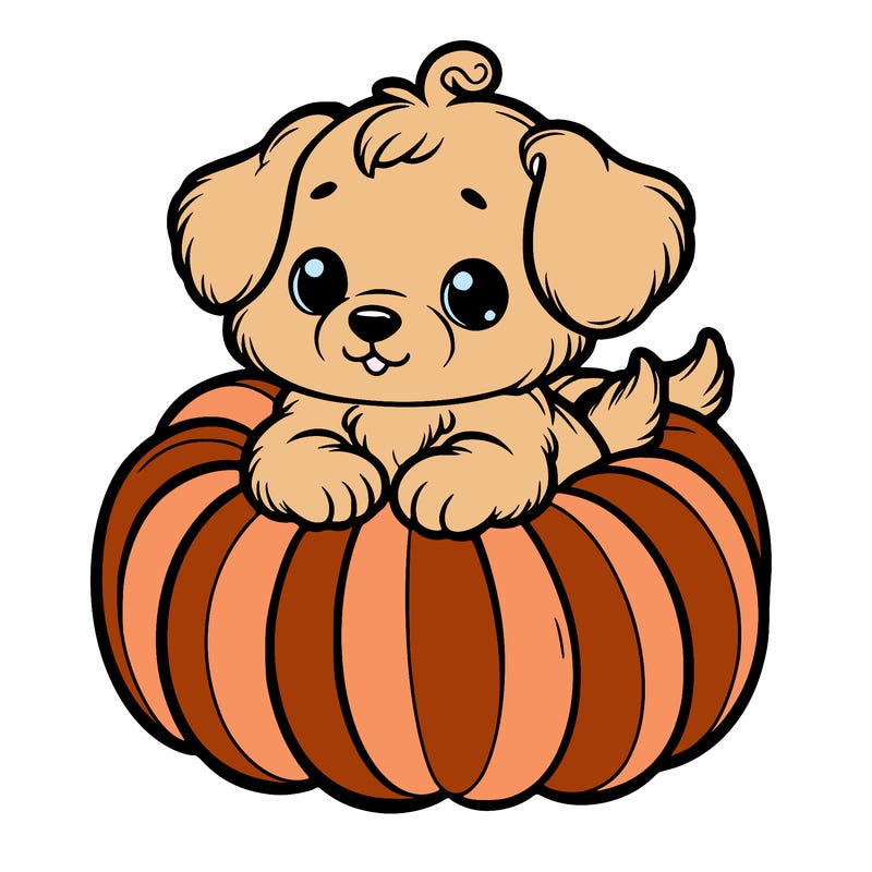 cute little puppy in a pumpkin