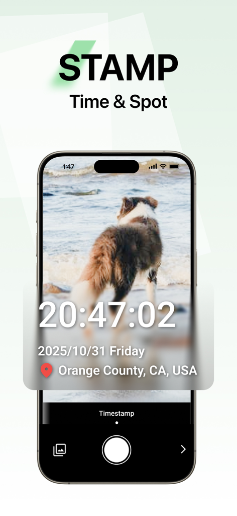 Lens pdf scanner: jpg to pdf - Lens PDF Scanner app screenshot showing the time and location stamp feature on a photo of a dog