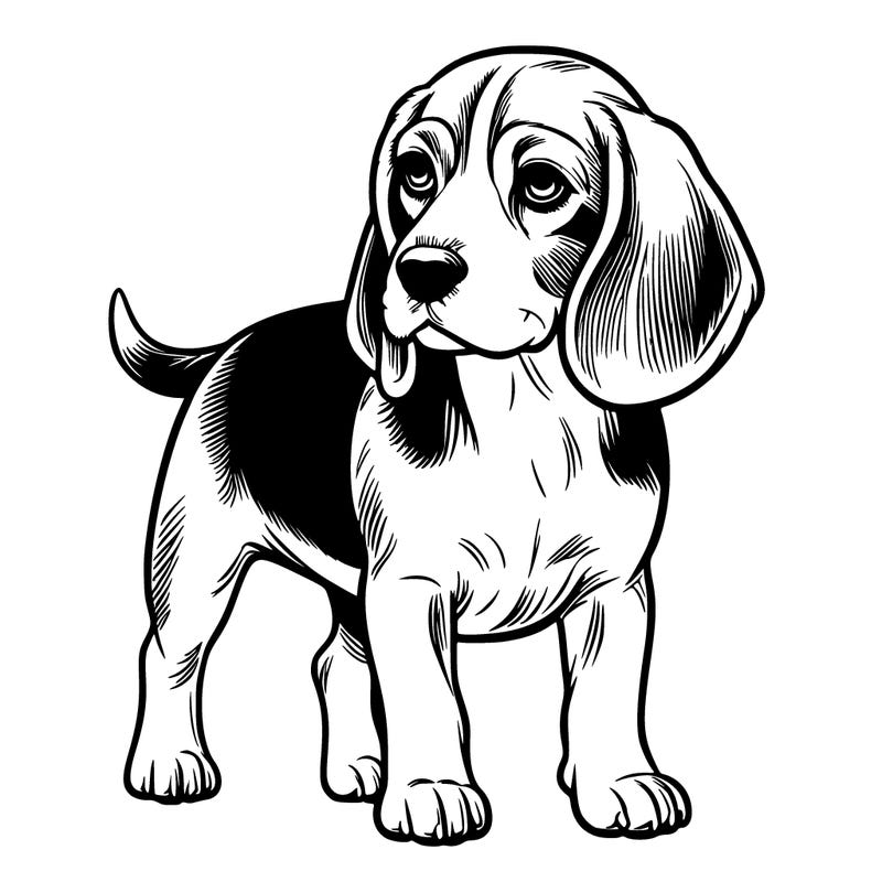 realistic beagle