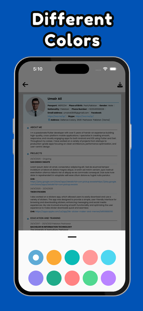 La aplicación Europass Resume mostrando diferentes opciones de color para la personalización del CV