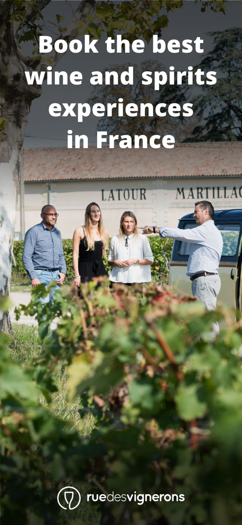 Rue des Vignerons - People enjoying a guided tour at a French winery vineyard