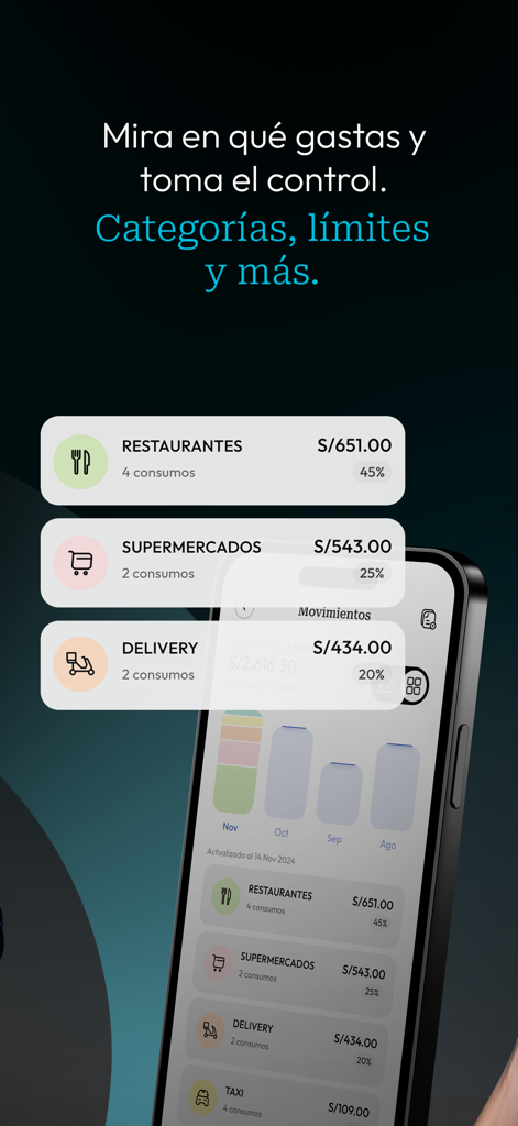 Captura de pantalla de la app iO mostrando categorías de gasto y gráficos de gastos mensuales.