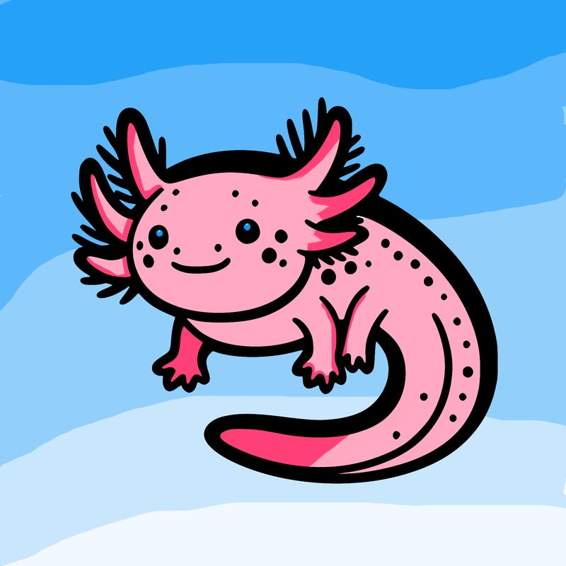 axolotl