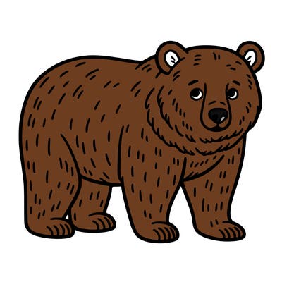 🐻