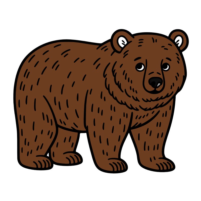 🐻