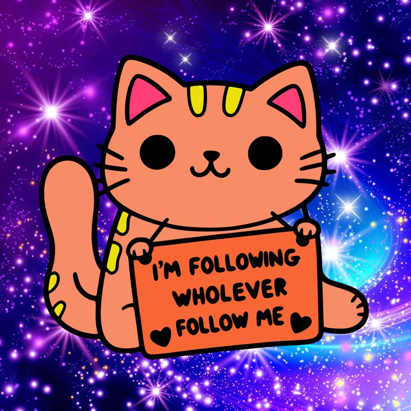 cat with a sign that says i’m following whoever follows me