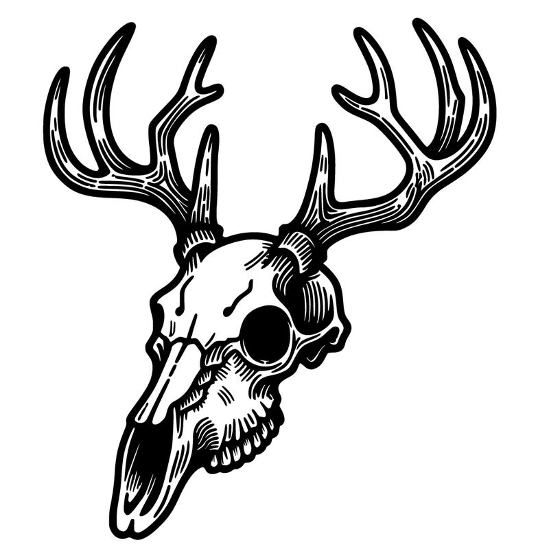 deer skull
