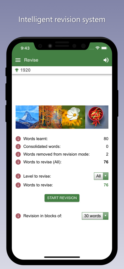 Bildschirm des intelligenten Wiederholungssystems in der deutschen Lern-App, der Vokabel-Fortschrittsstatistiken anzeigt.