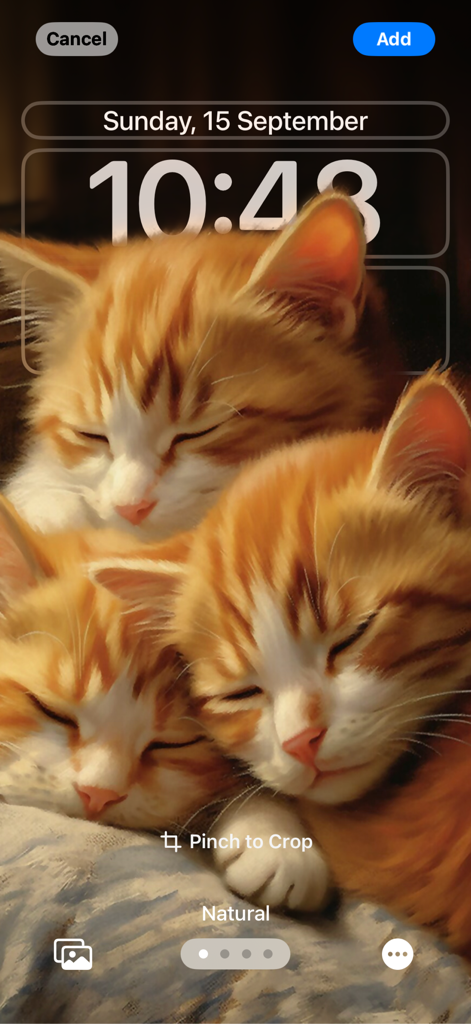 iPhone lock screen preview showing three sleeping ginger kittens as a wallpaper